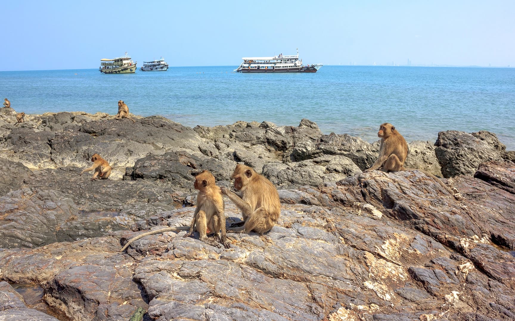 Half-Day Pattaya Island Tour - photo 6