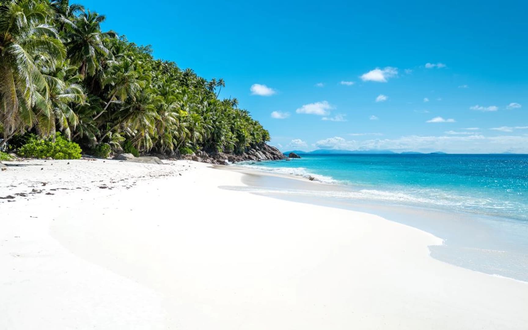 Silhouette Dream Premium 2026: Cabin Charter - photo 8