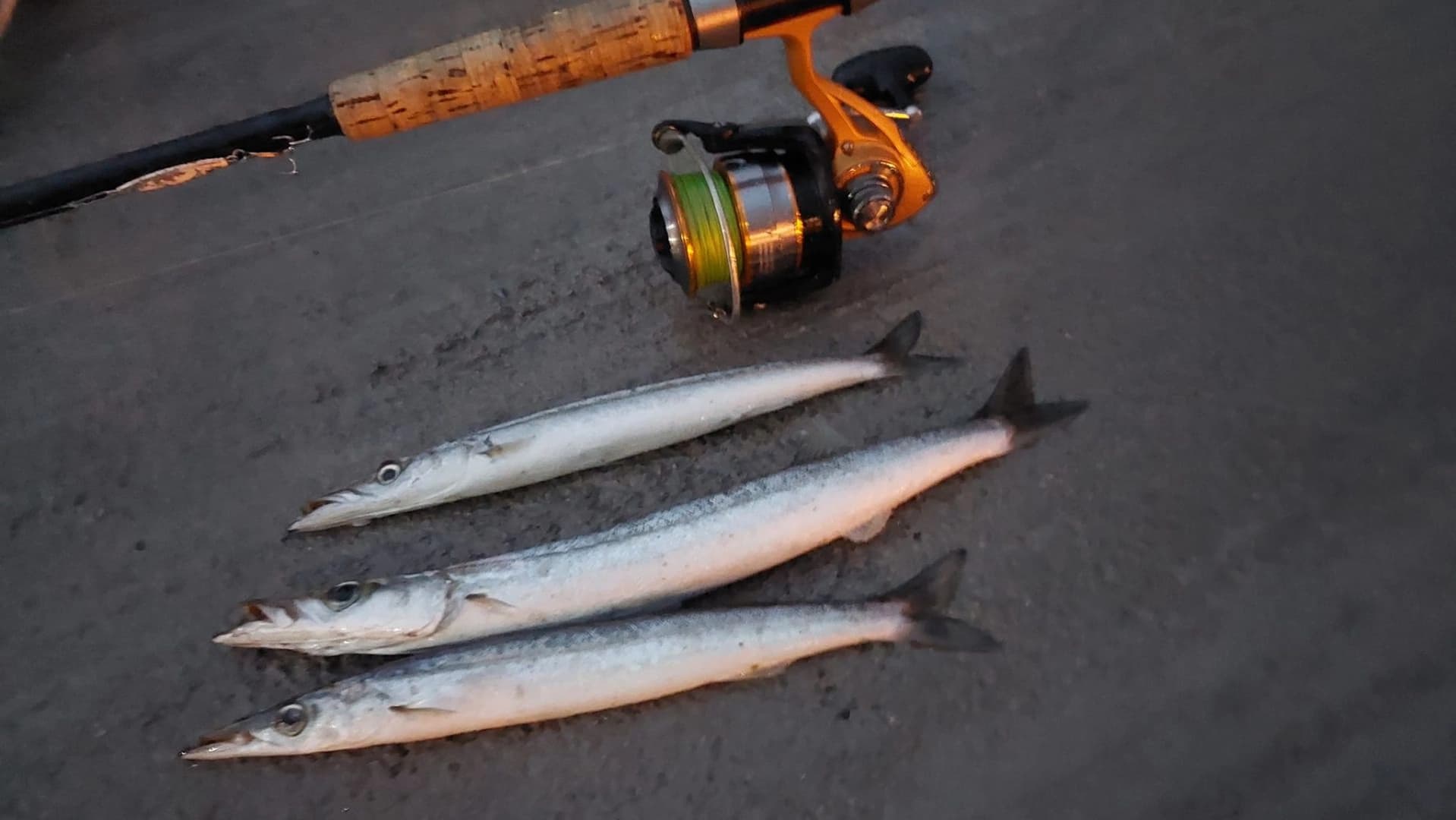 Fishing on a sailing yacht - photo 4
