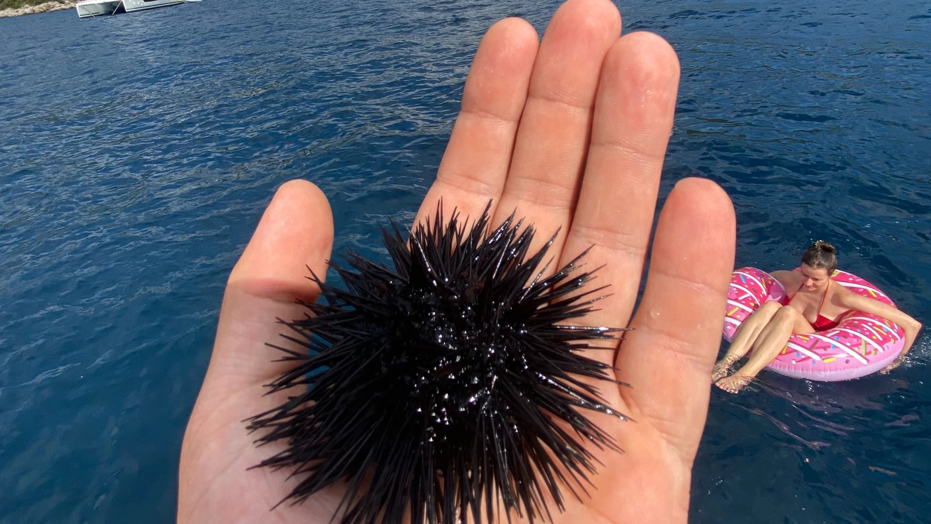 Among the islands and cities of the Adriatic: a tailor-made sailing yacht cruise - photo 15