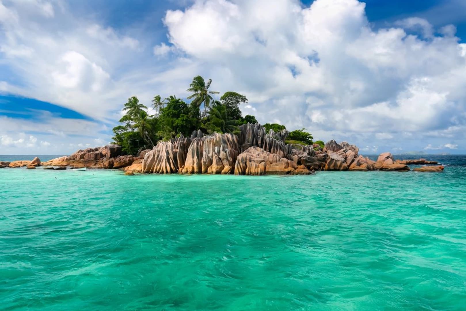 Silhouette Dream Premium 2026: Cabin Charter - photo 4