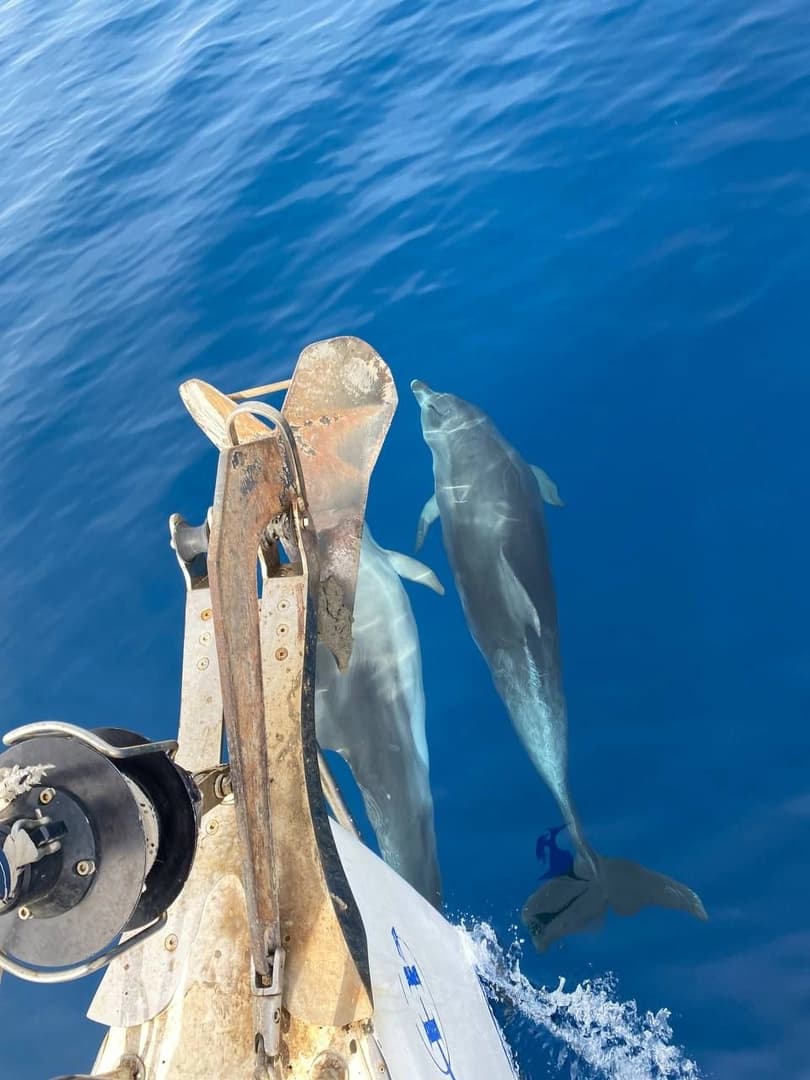 Greece TRIP - photo 7