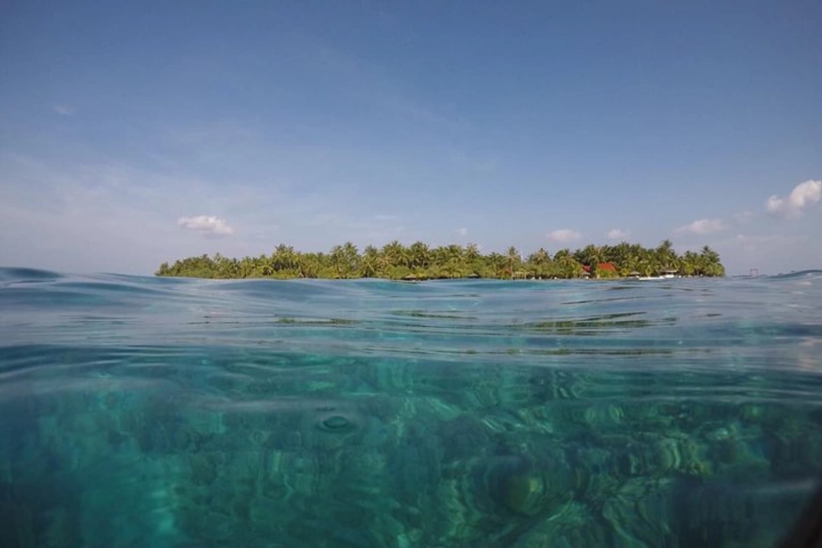 Your Own Day in Paradise - photo 6