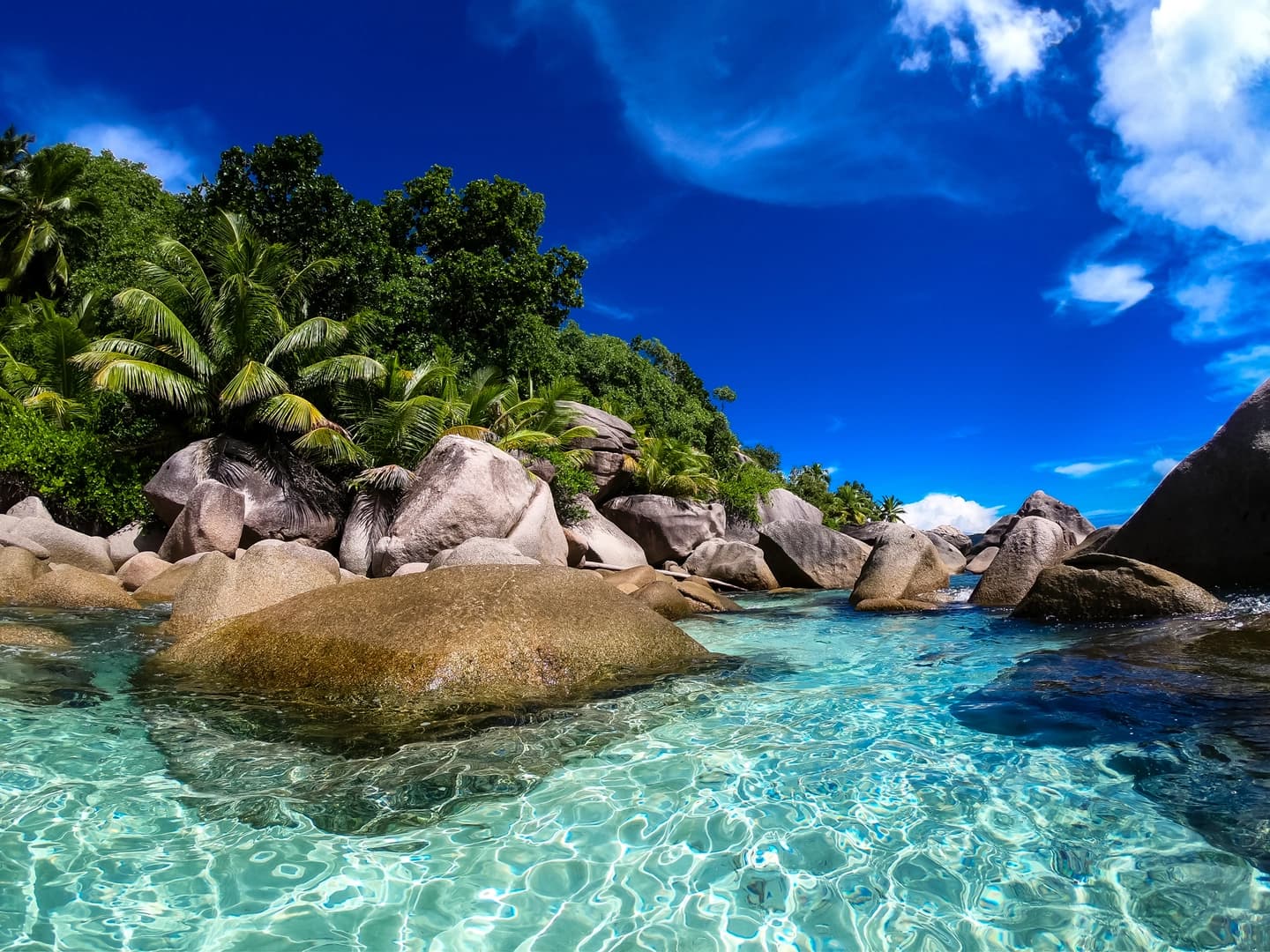 Silhouette Dream Premium 2026: Cabin Charter - photo 11