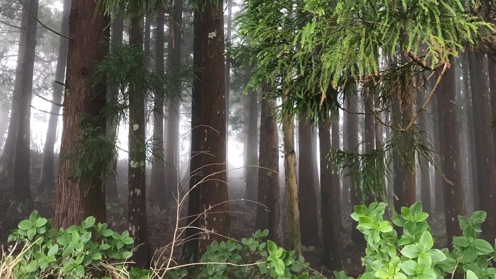 Canary/ Yachting practice + Relax - photo 11