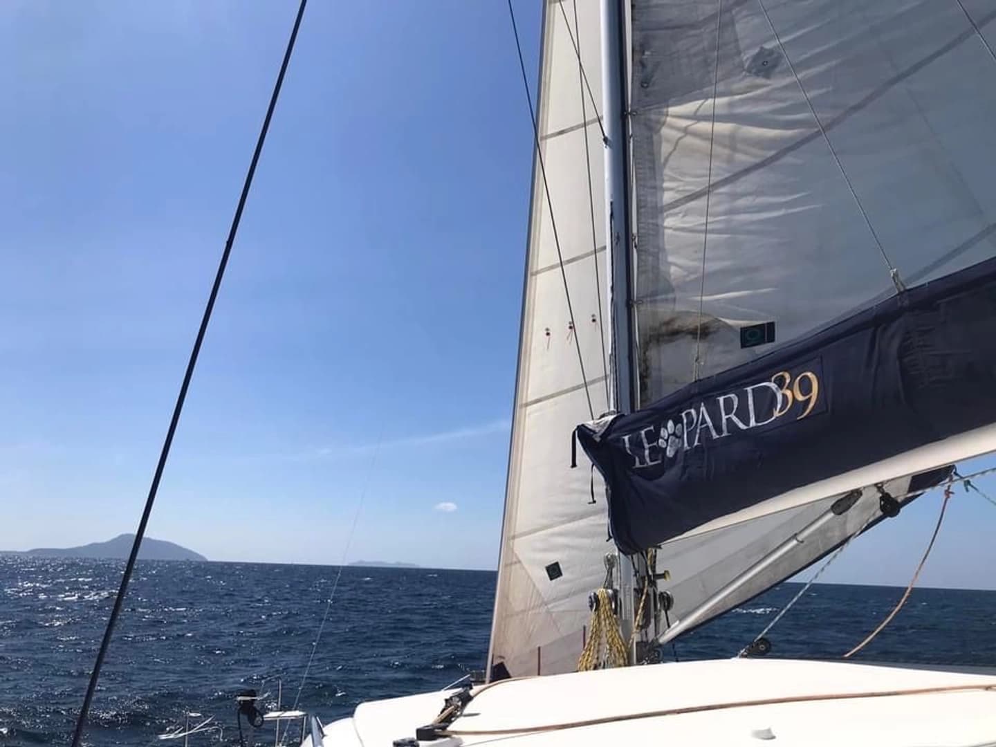 Leopard 39 - photo 9