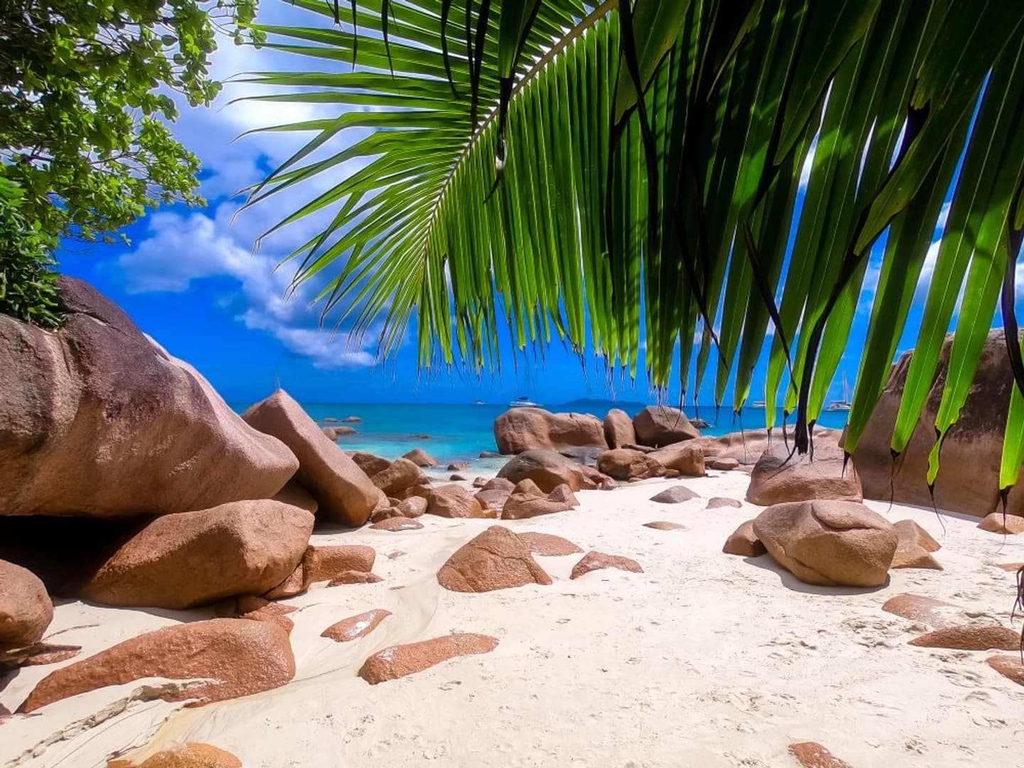 Praslin Dream Premium 2026: Cabin Charter - photo 14