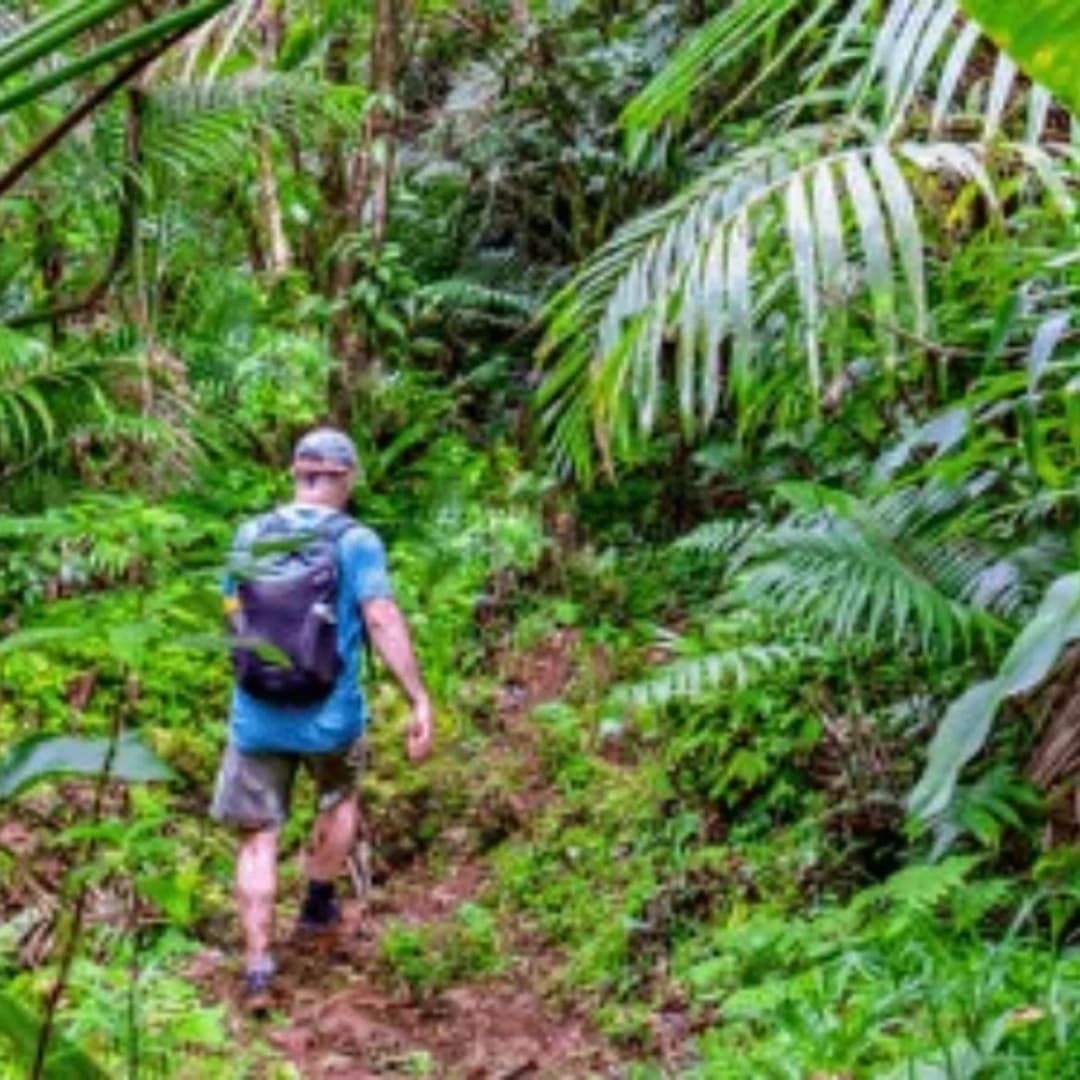 Eden on Earth: Catamaran Cruise through Seychelles - photo 5