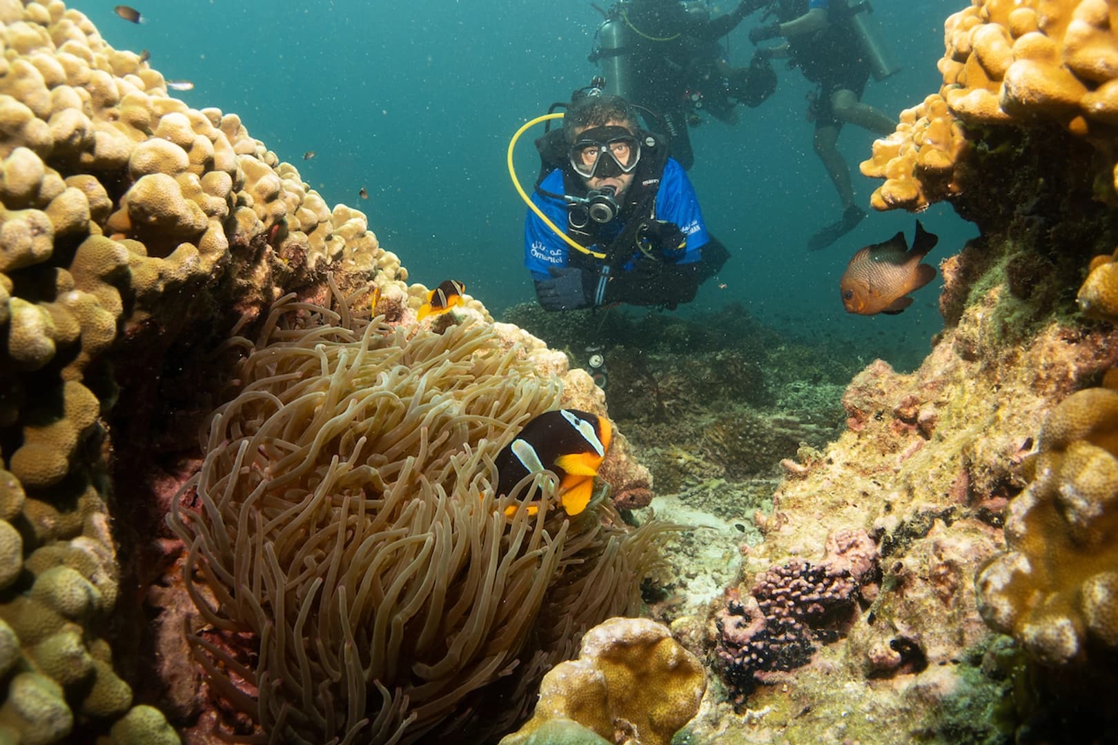 Discover the best diving spots in Oman (package tours) - photo 16