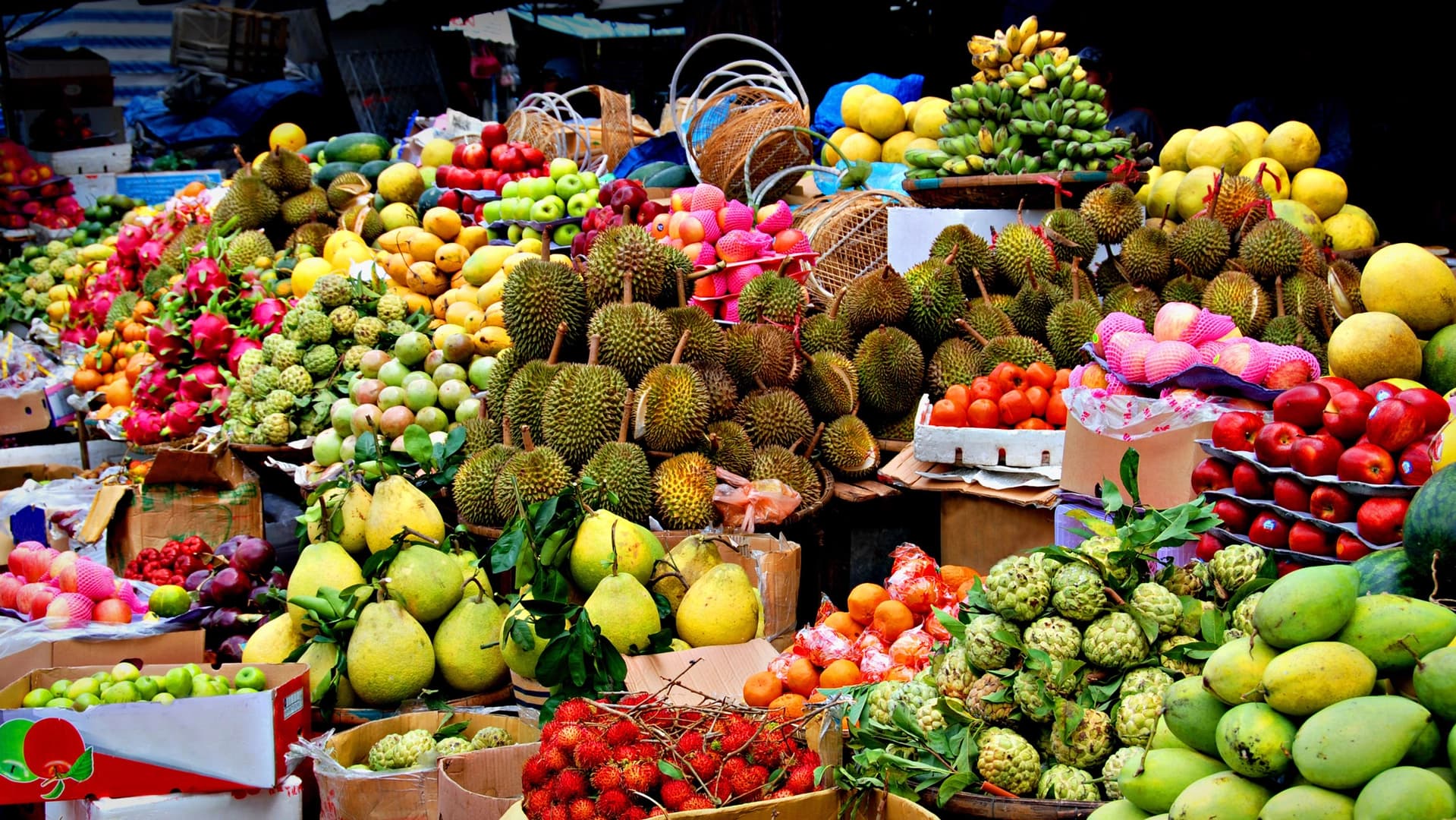 Affordable luxury: explore Andaman off season onboard Lagoon 620 - photo 13