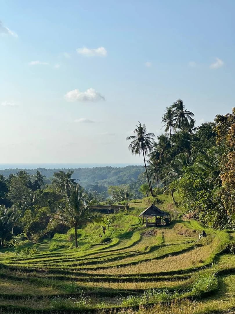 Indonesia: Kupang – Bali – Nongsa Point - photo 6