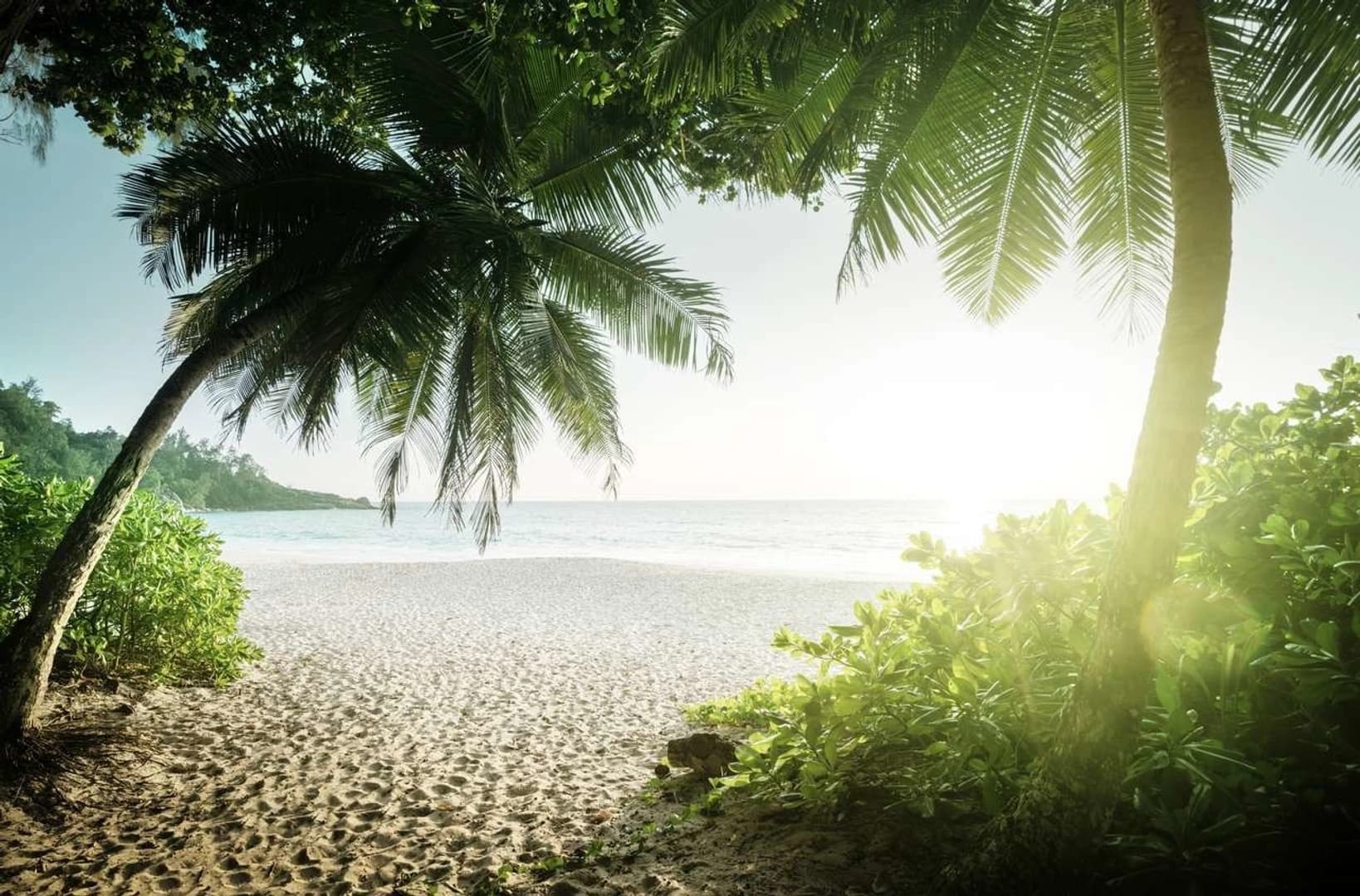 The Seychelles, the Garden of Eden - photo 2