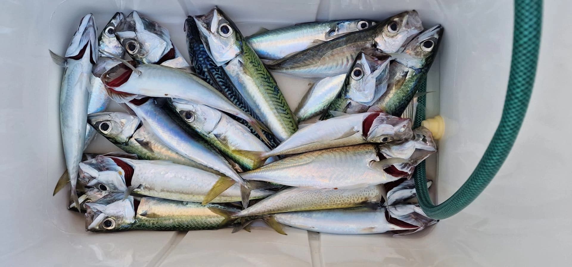 Fishing - boat photo