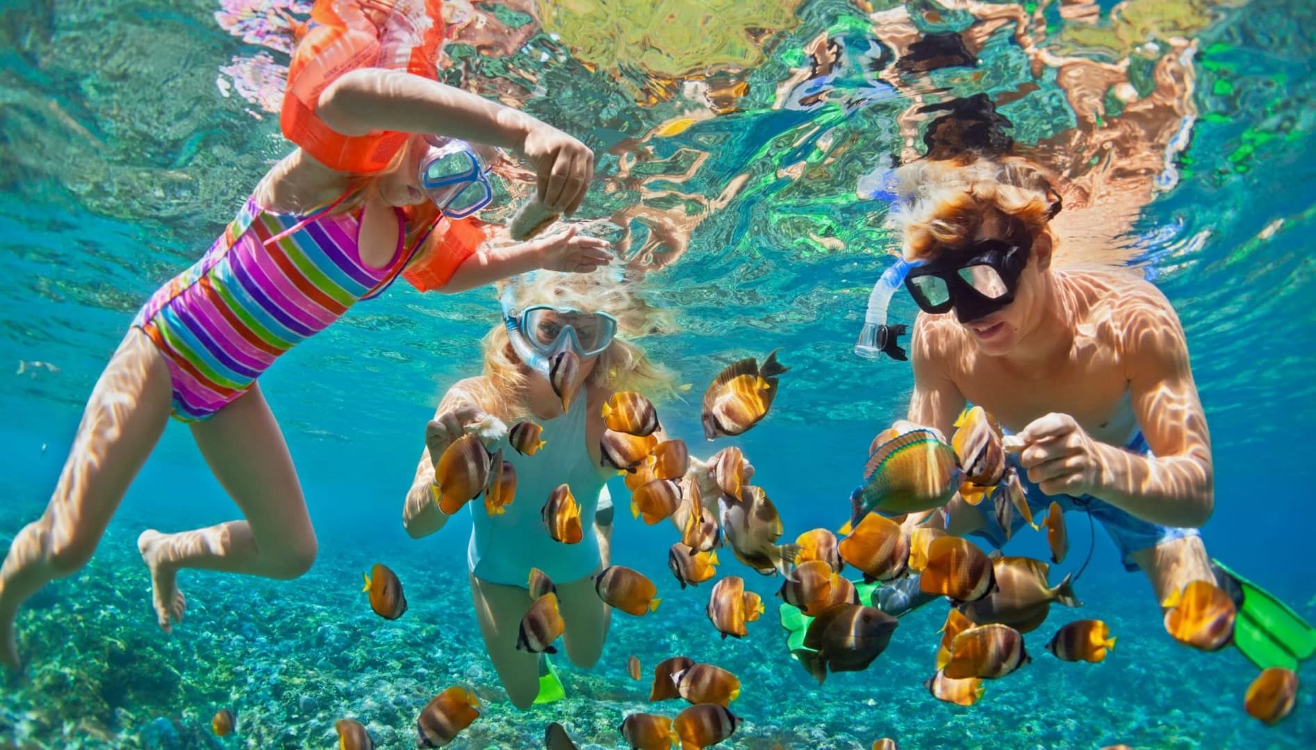 Caribbean Travel: Martinique - Panama - photo 6