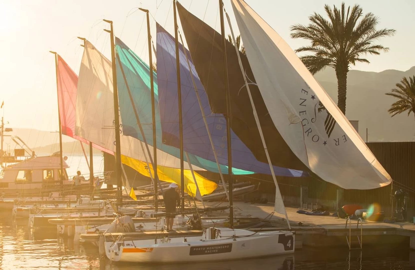 Sailing trip on a sports boats - photo