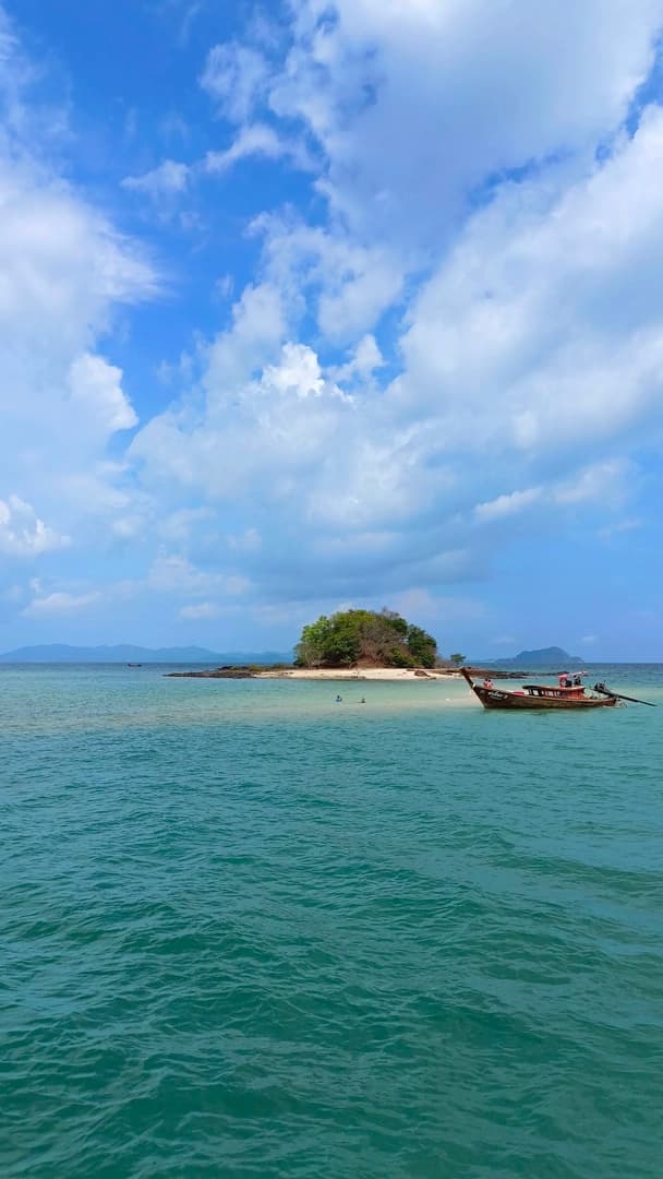 Monkey Paradise - photo 7