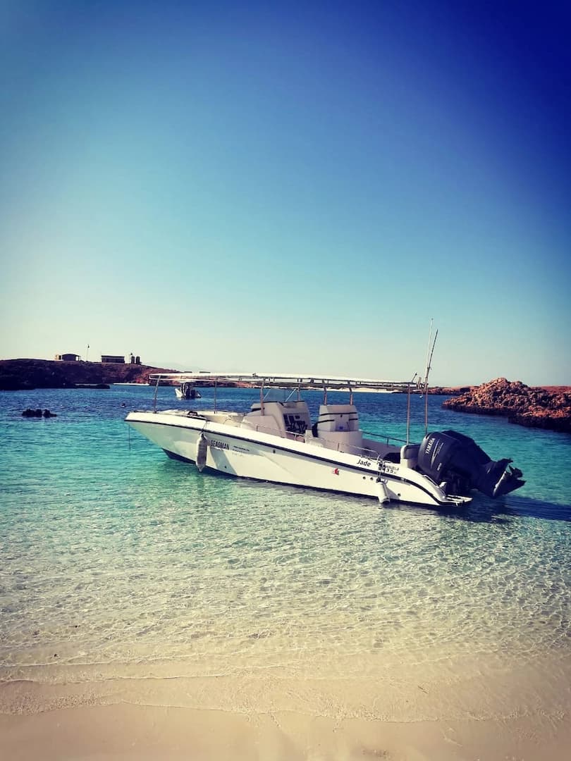 Private Cruise to the Daymaniyat Islands - photo 7