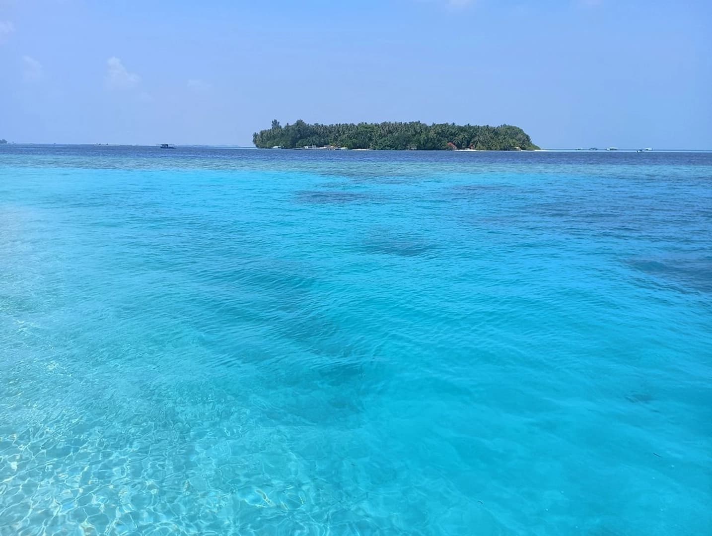 Your Own Day in Paradise - photo 2