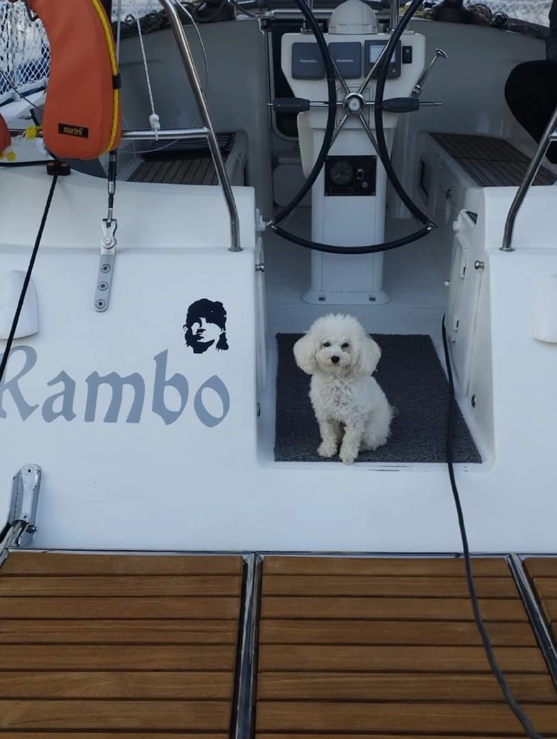 Family Sailing cruise in the Caribbean - photo 6