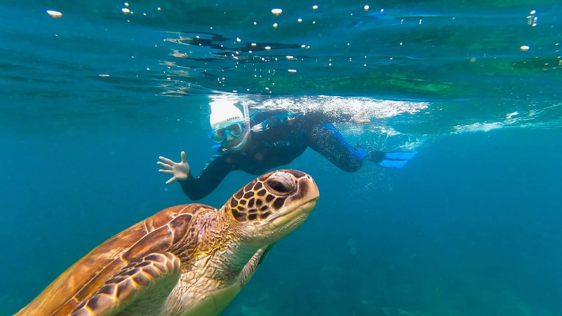 Night Yacht Cruise to the Daymaniyat Islands with LUBABAH - photo 7