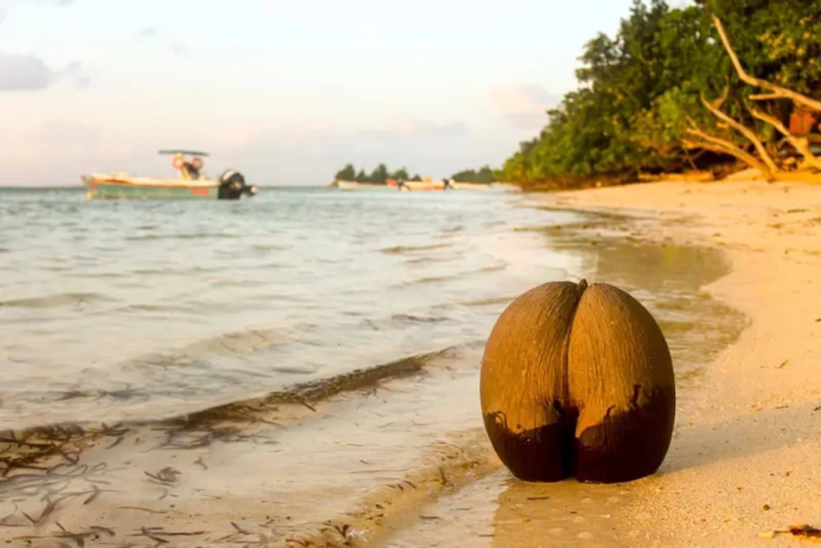 Eden on Earth: Catamaran Cruise through Seychelles - photo