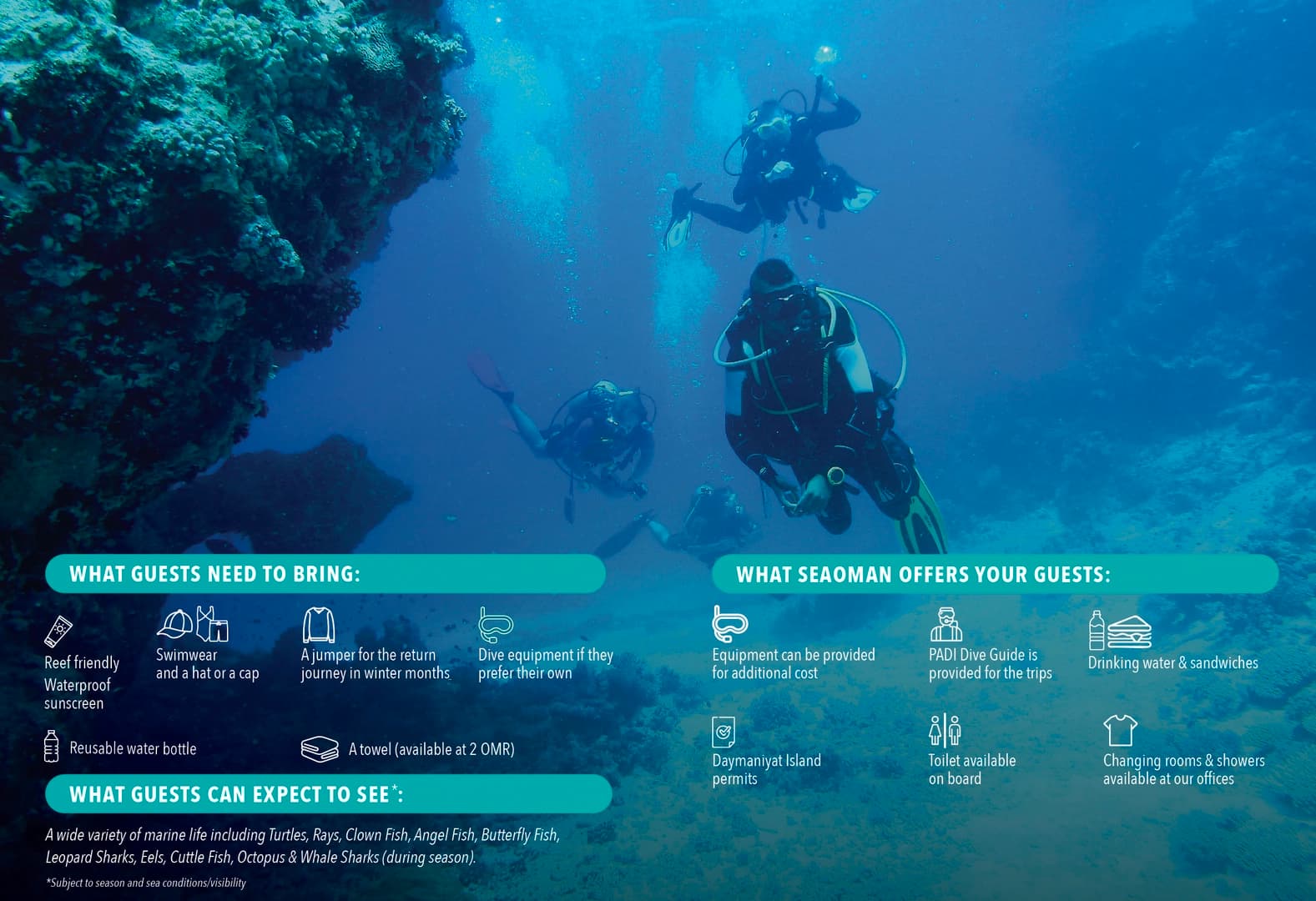 Discover the best diving spots in Oman (package tours) - photo 8