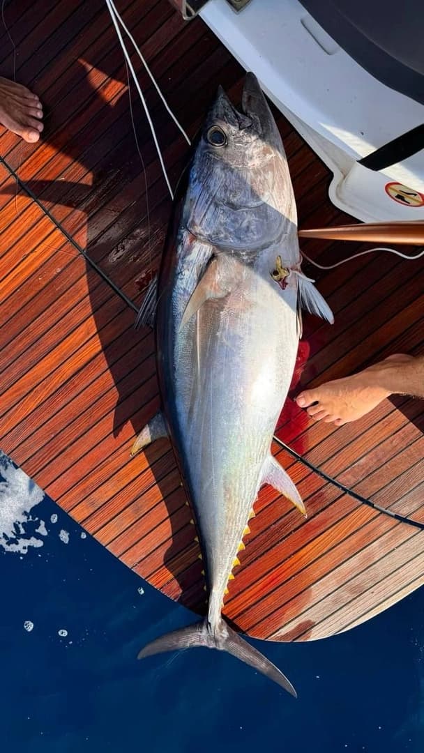 Squid Fishing — Night Fishing Under the Starry Sky - photo 6