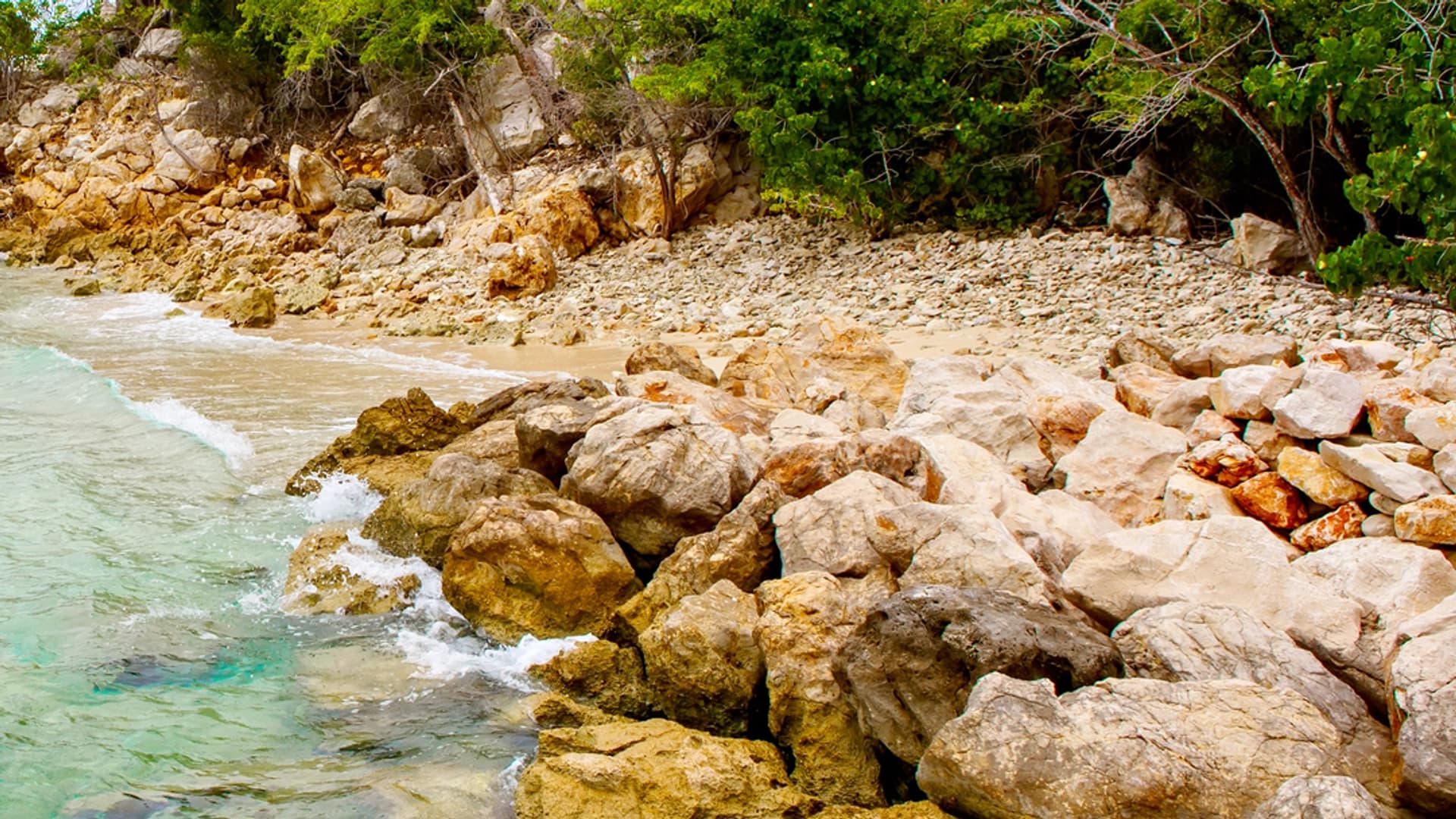 Caribbean Private Catamaran Cruises. Martinique - photo 8