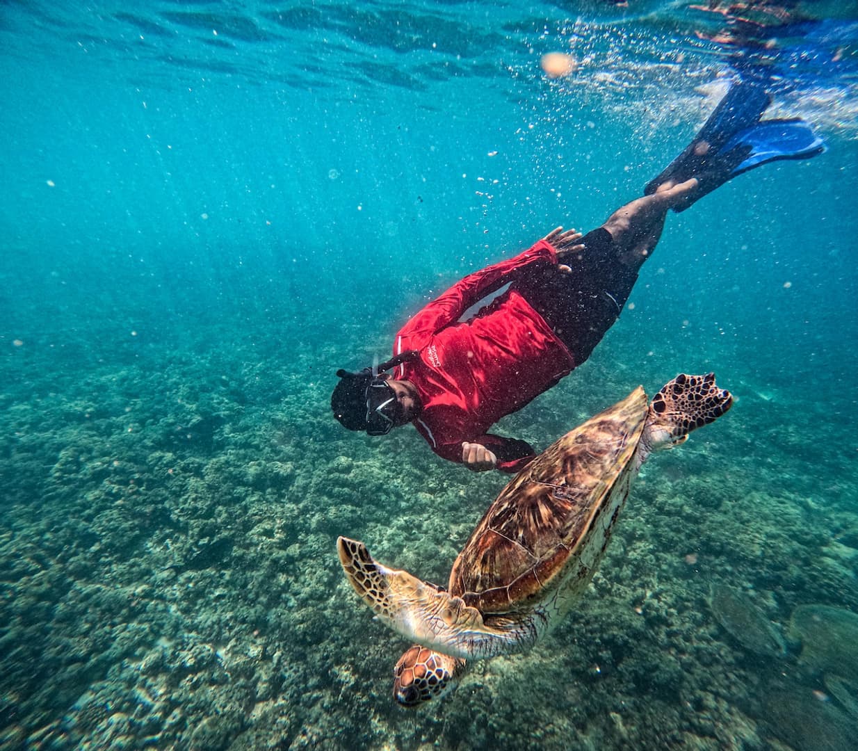 Private Cruise to the Daymaniyat Islands - photo 8