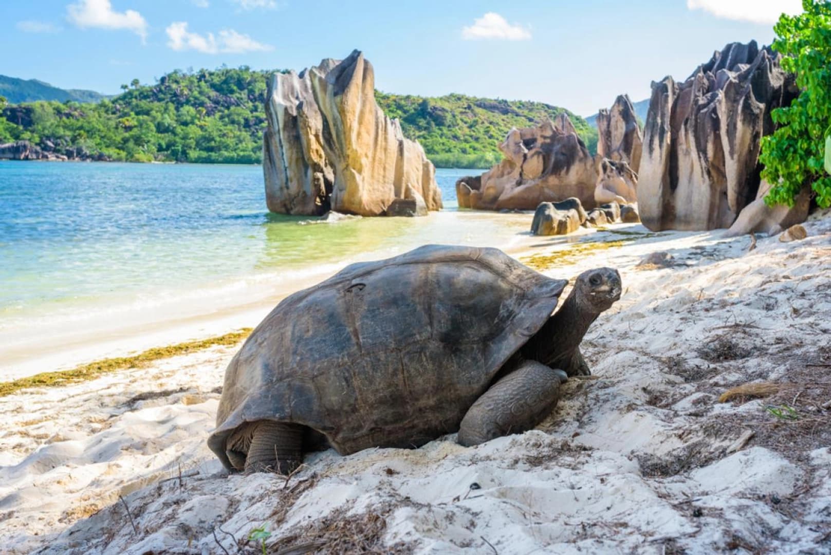 A Seaborne Palace - photo 5