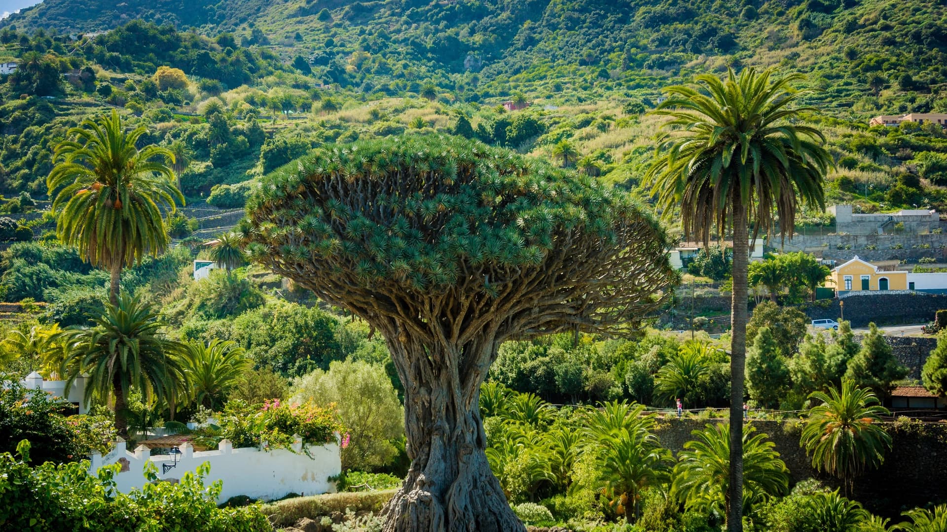 Portofino 53 «Amira» — your perfect day on the water along the sunny shores of Tenerife - photo 7