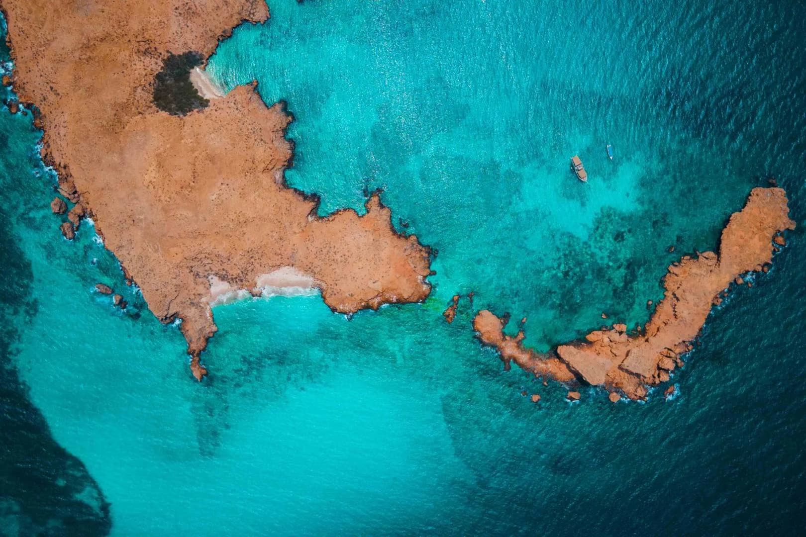 Night Yacht Cruise to the Daymaniyat Islands with LUBABAH - photo 8