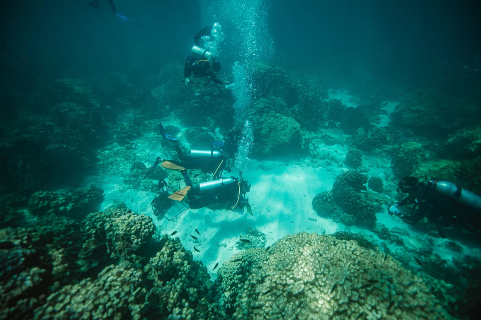 Discover the best diving spots in Oman (package tours) - photo 12