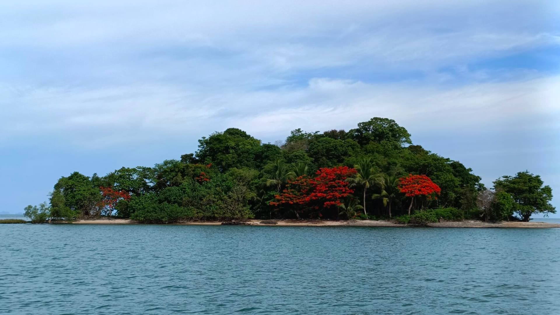 Tropical Paradise - photo 2