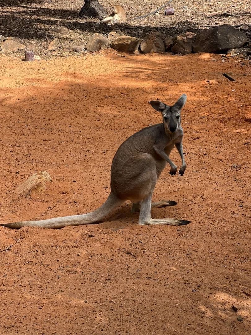 Australia | Brisbane – Darwin - photo 6