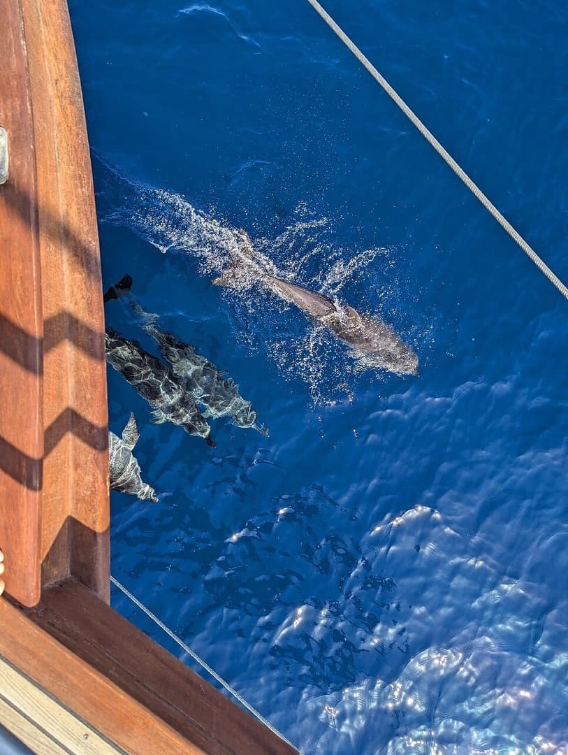 Volcanic Freedom - photo 4