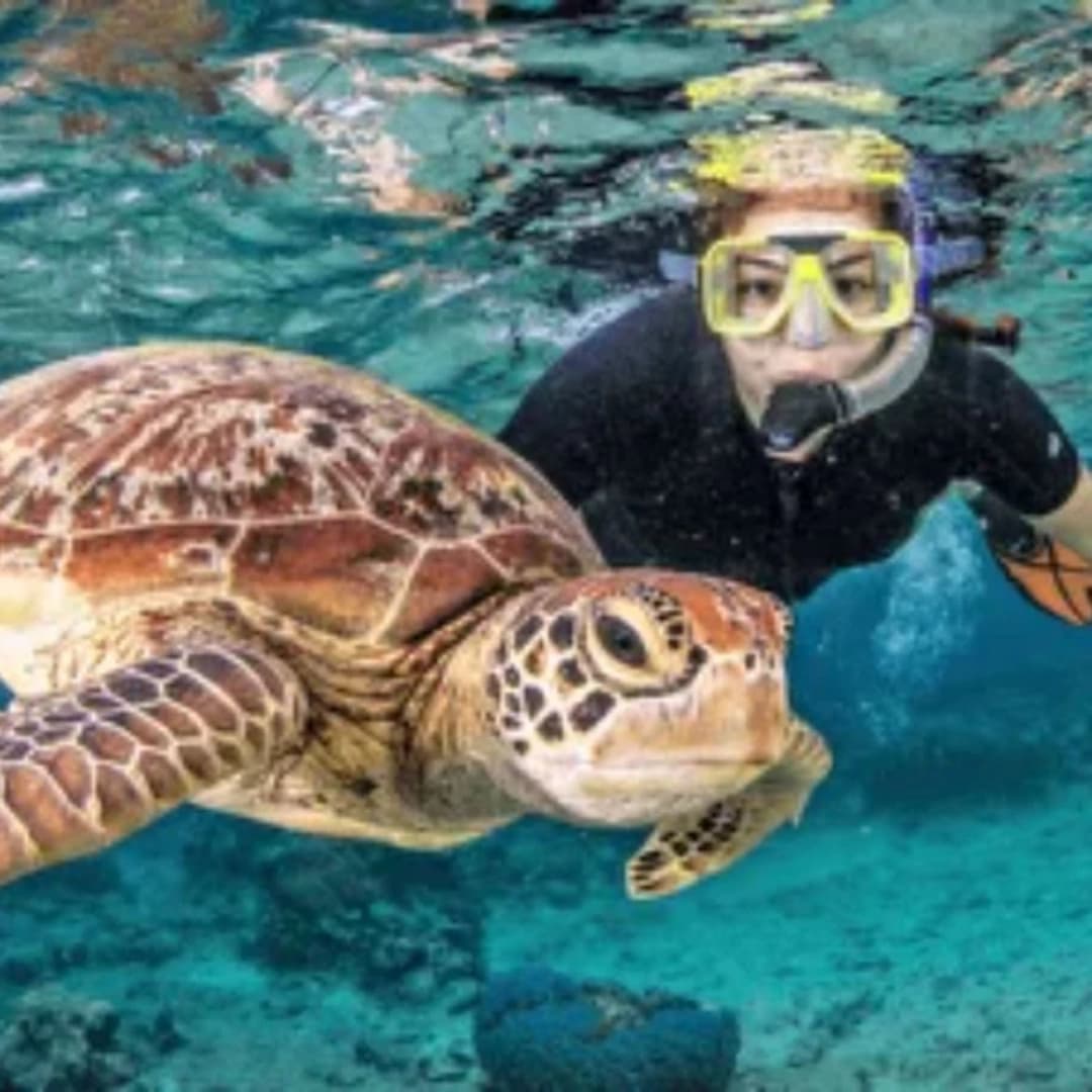 Eden on Earth: Catamaran Cruise through Seychelles - photo 8