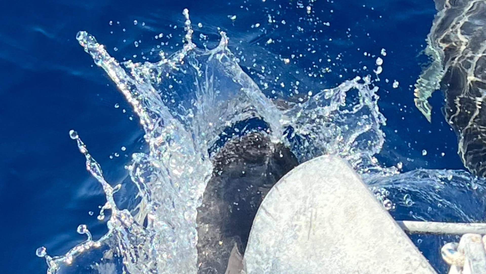 Voyage from Tenerife to Majorca - photo 5