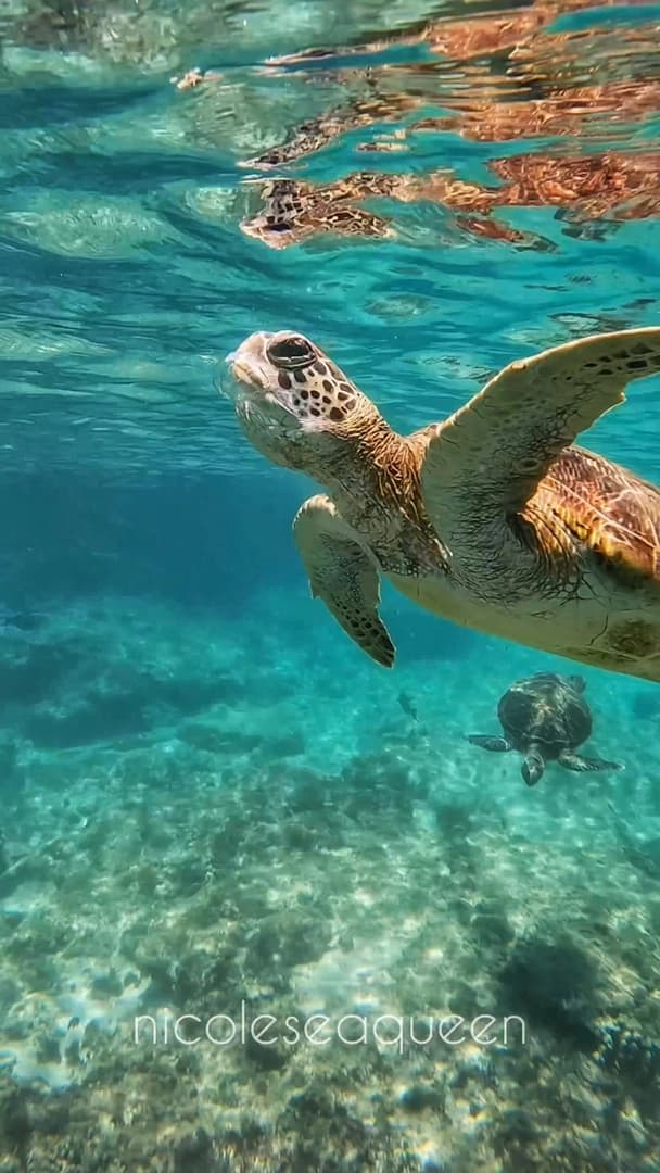 Dhow Private Charter - photo 9