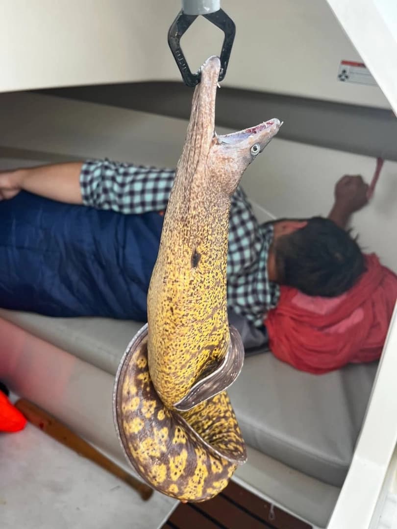 Squid Fishing — Night Fishing Under the Starry Sky - photo 5