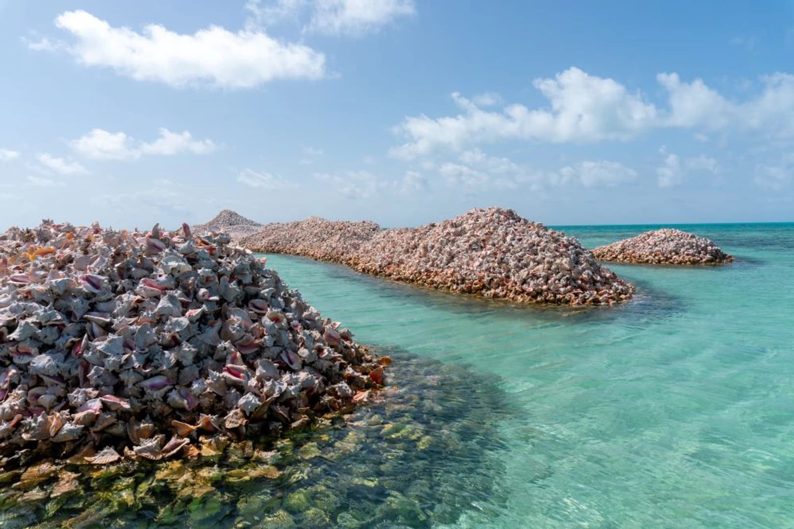 Tortola Dream Premium 2026: Cabin Charter - photo 18