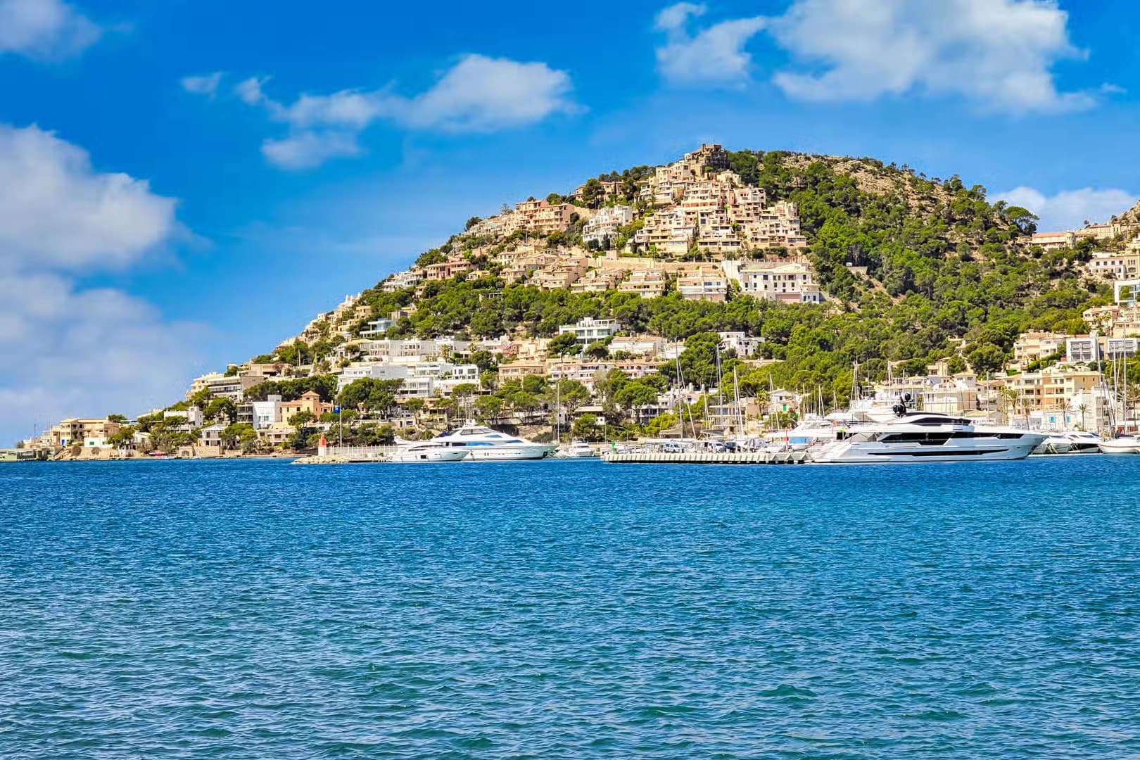 Coves & Light: Coastal Day Tour in Mallorca - photo 9