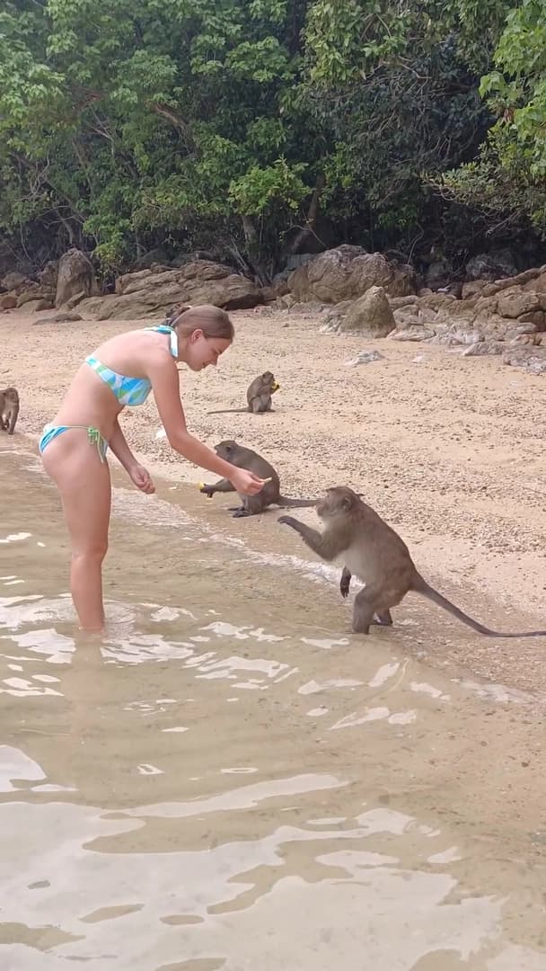 Monkey Paradise - photo 5