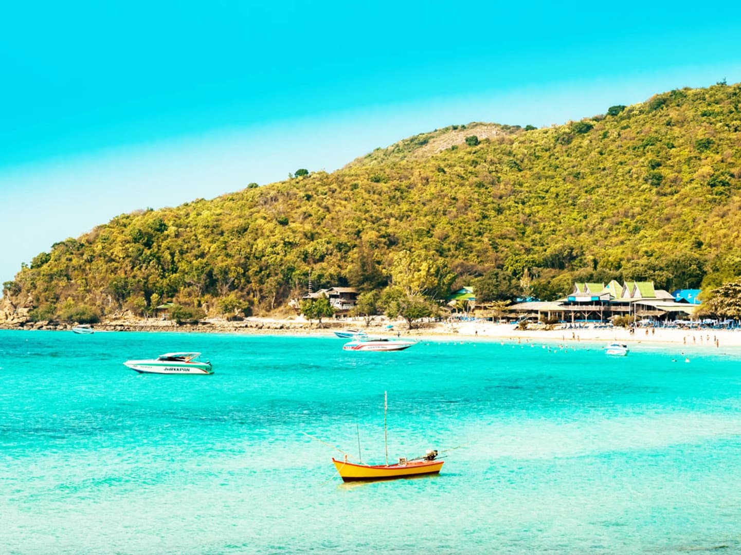 Half-Day Pattaya Island Tour - photo 10