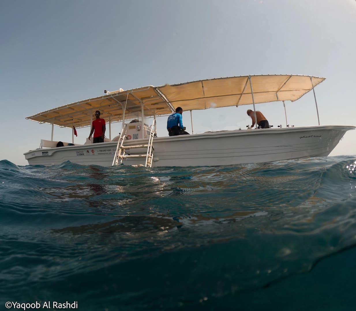 Discover the best diving spots in Oman (package tours) - photo 15