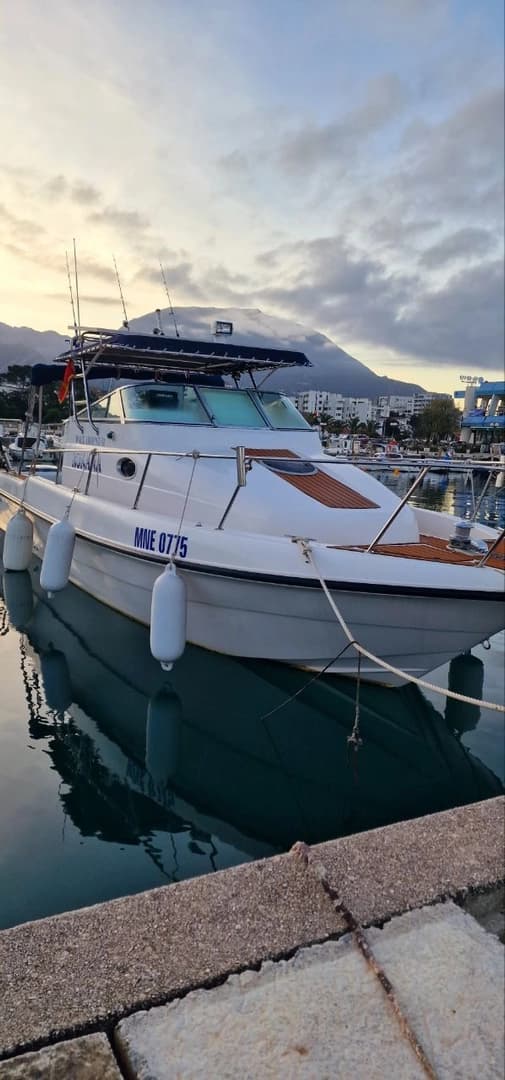 Reel in the Adventure: Fishing Expeditions in Montenegro's Waters - photo 2
