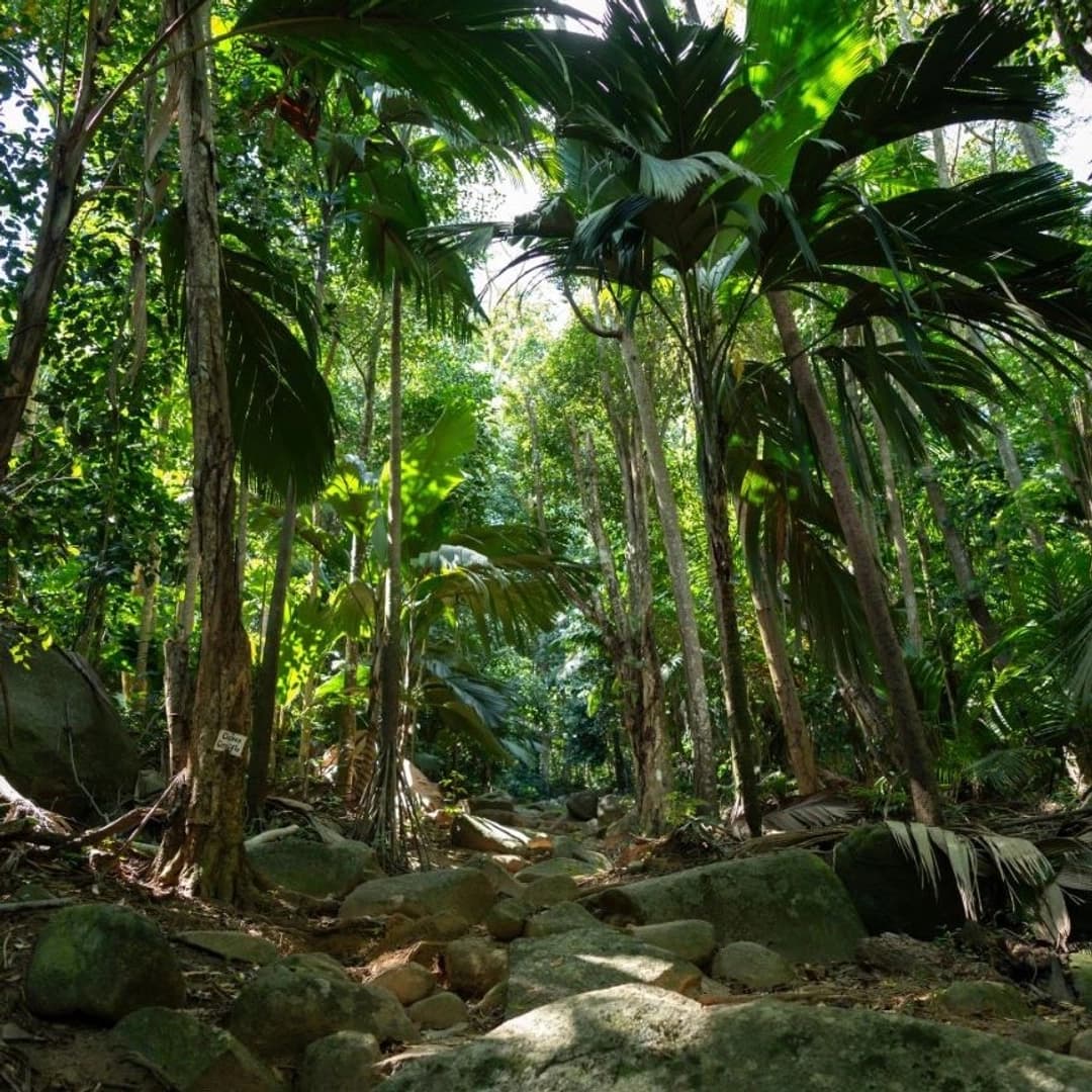 Praslin Dream Premium 2026: Cabin Charter - photo 13