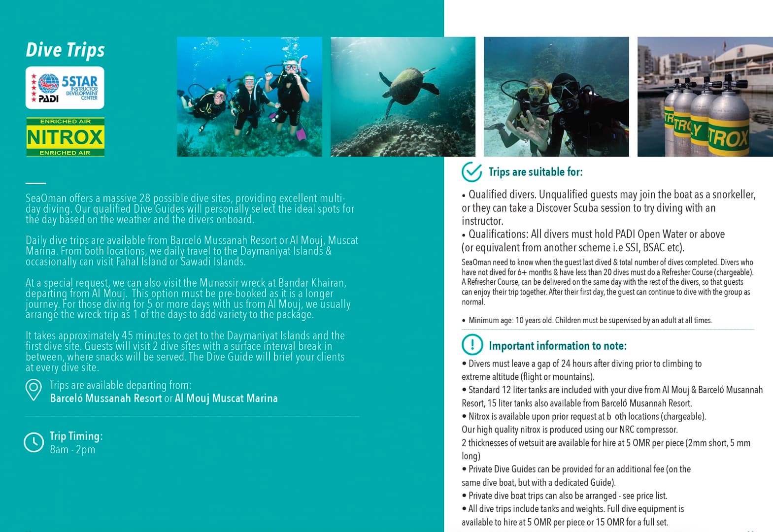 Discover the best dive sites in Oman - photo 2