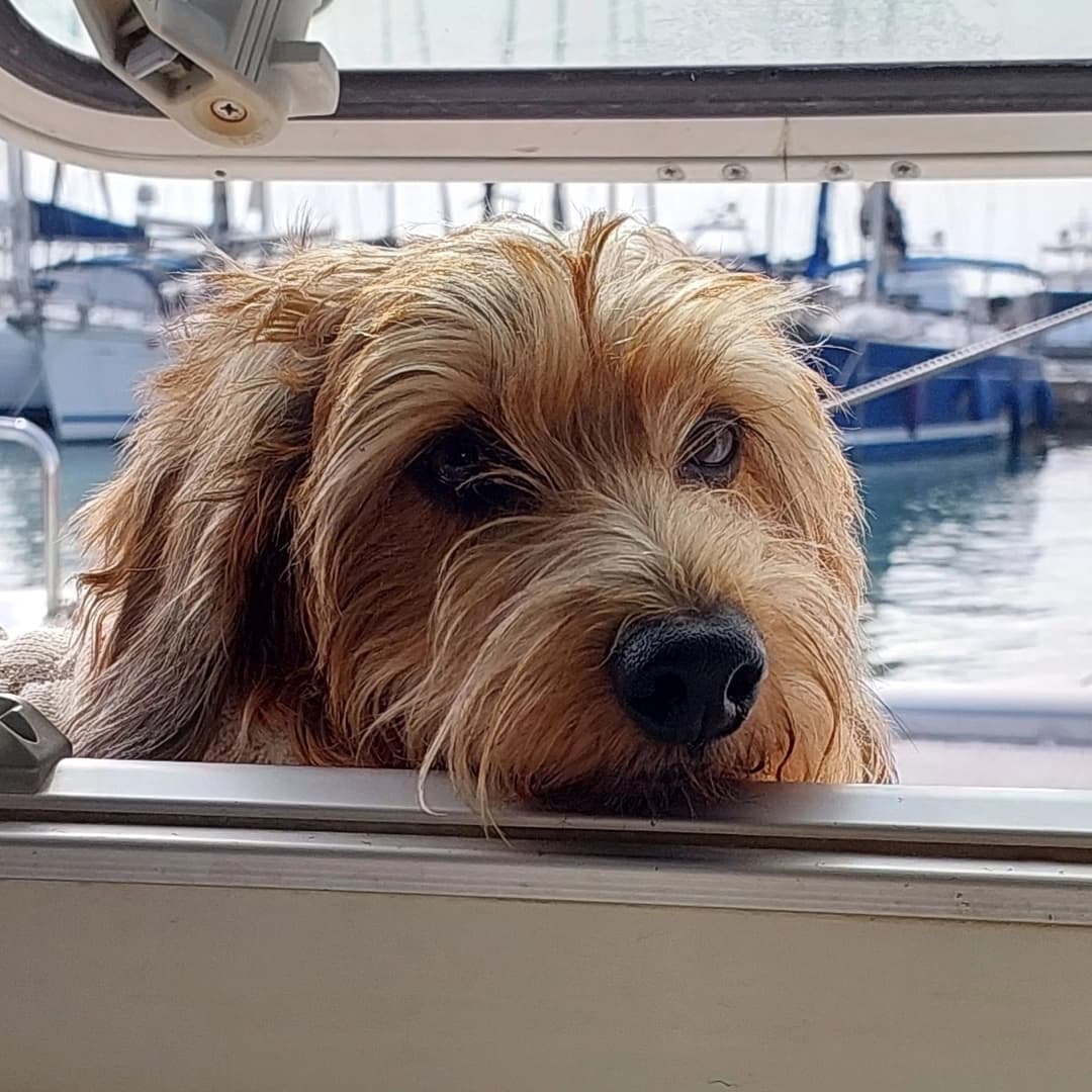 Two days on catamaran Marmaris - photo 12