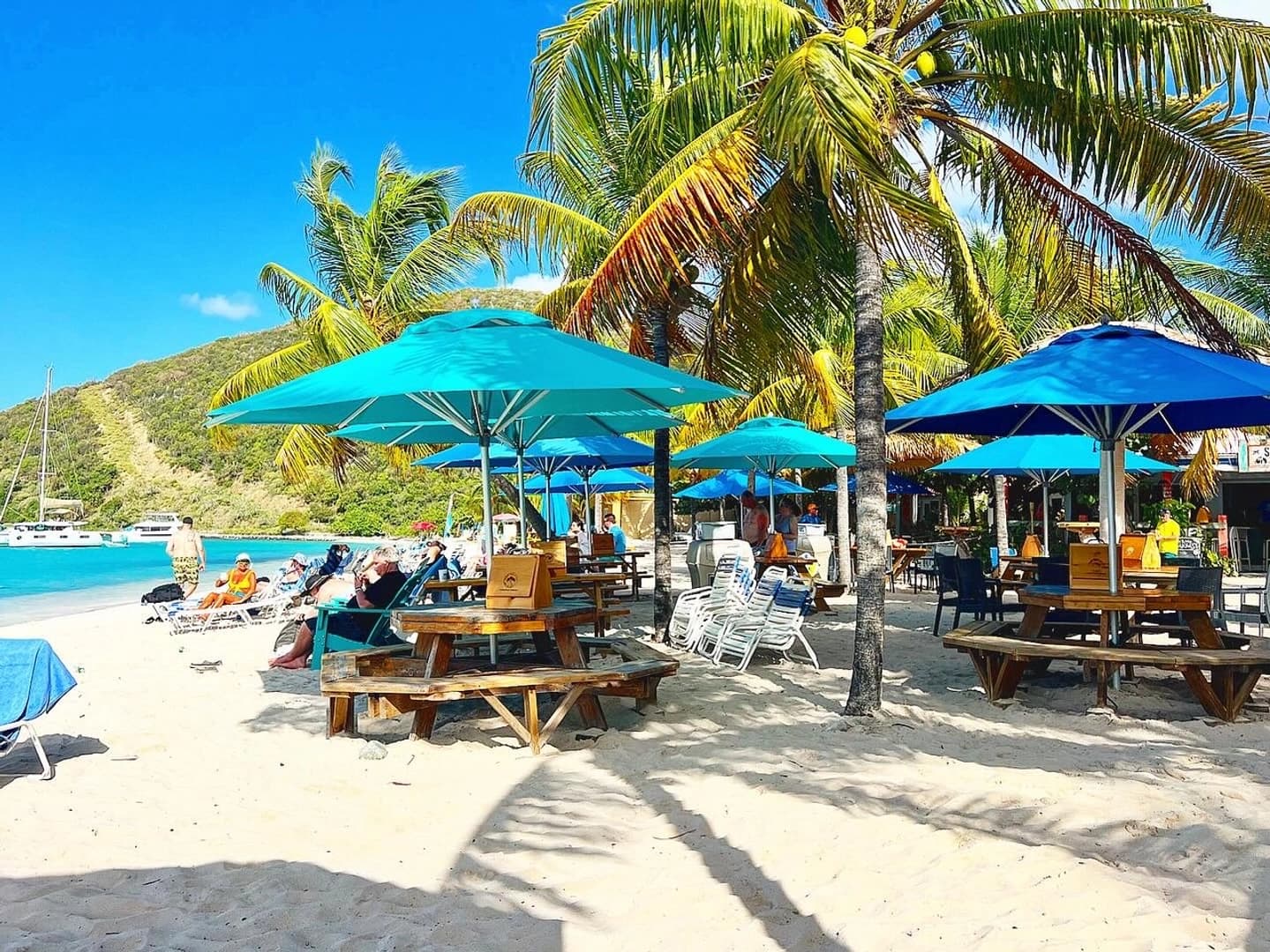 Tortola Dream Premium 2026: Cabin Charter - photo 8